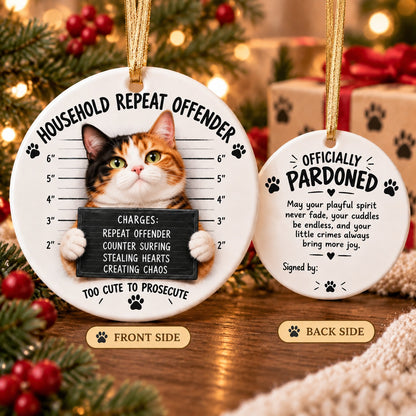 😼Customizable Name Cat Mugshot Ornament Collection