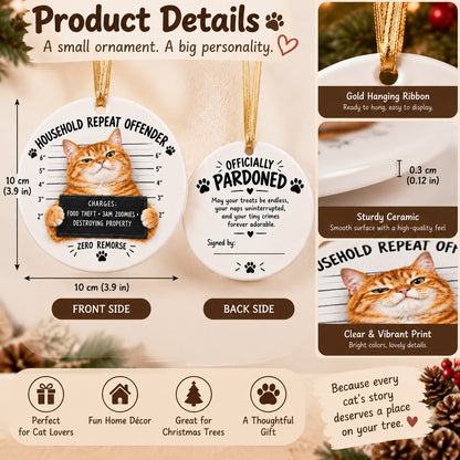 😼Customizable Name Cat Mugshot Ornament Collection