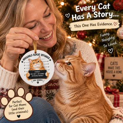 😼Customizable Name Cat Mugshot Ornament Collection